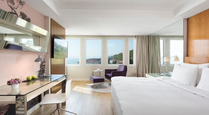 Radisson Blu Bosphorus Istanbul